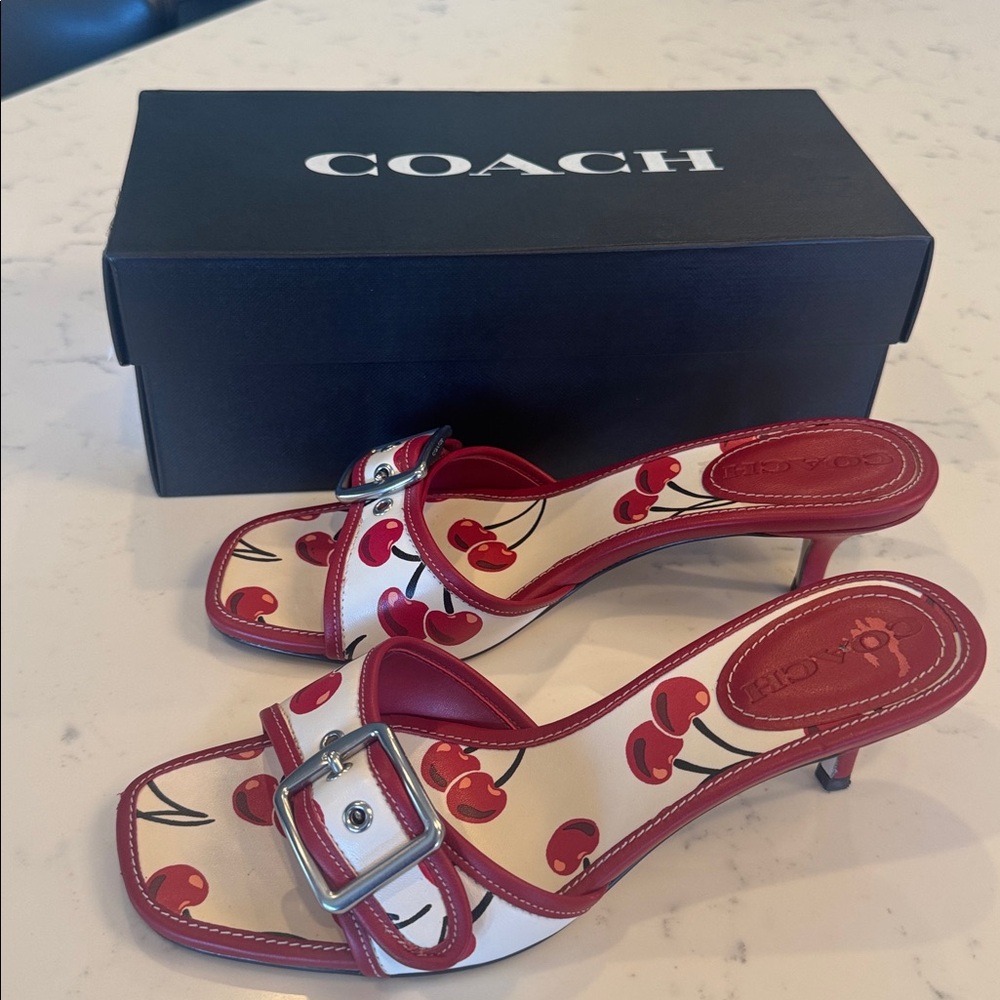 Coach Margot Cherry Print Sandals
Worn once.